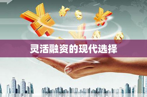 宁海灵活融资的现代选择