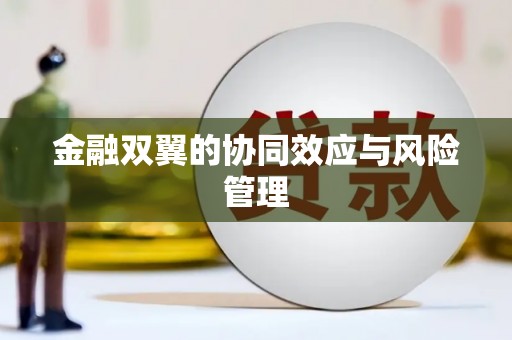 贵溪金融双翼的协同效应与风险管理