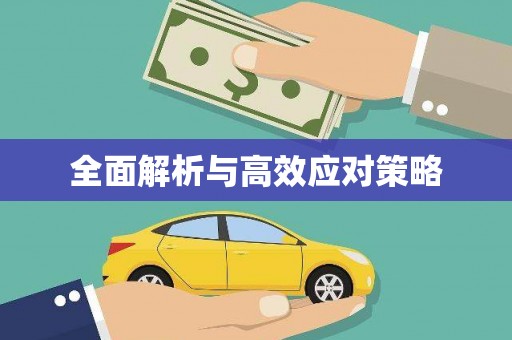 六甲全面解析与高效应对策略