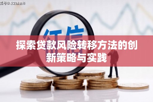 武侯探索贷款风险转移方法的创新策略与实践